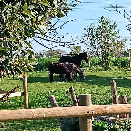 ホテル Domaine De Karoli バルヌヴィル・シュル・セーヌ エクステリア 写真
